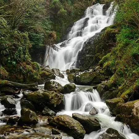 Апартаменти Haven - Self Catering *