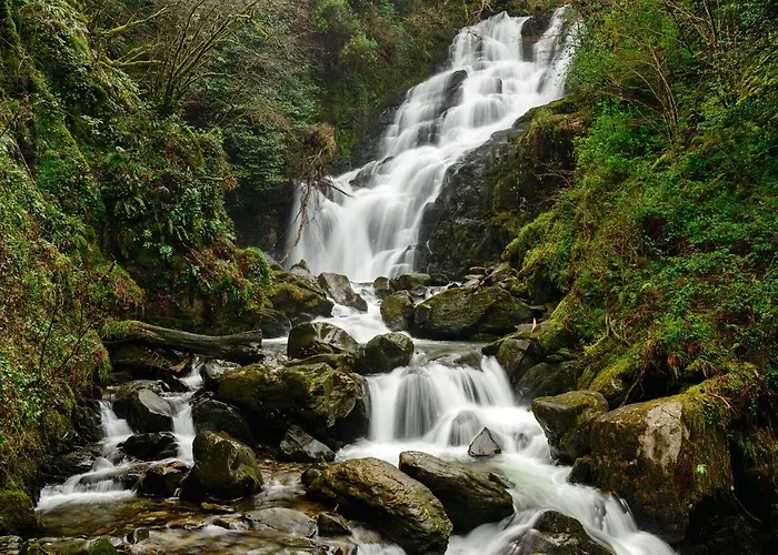 Апартаменти Haven - Self Catering *